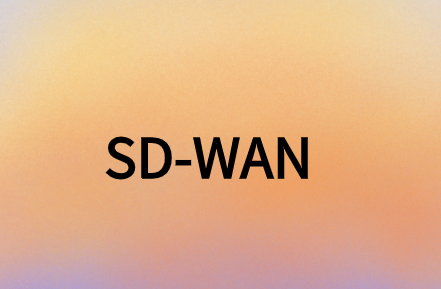 SD-WAN提供安全、靈活且經(jīng)濟(jì)高效的解決方案