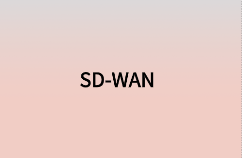 對企業(yè)而言，SD-WAN意味著什么?
