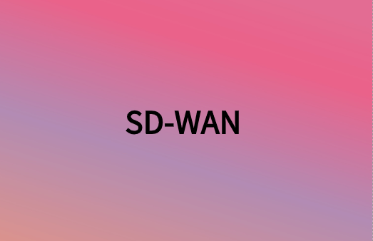除連接性外，SD-WAN還提供很多網(wǎng)絡(luò)優(yōu)勢